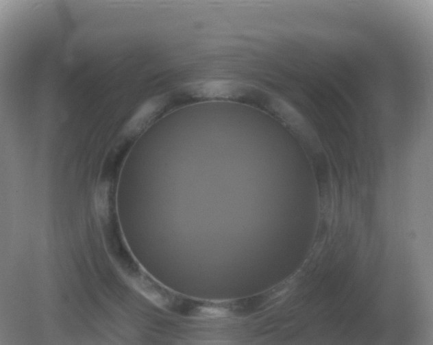 X0000081340167200701182030