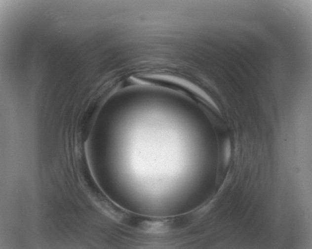 X0000081340170200701182030