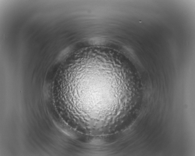 X0000081340171200701182030
