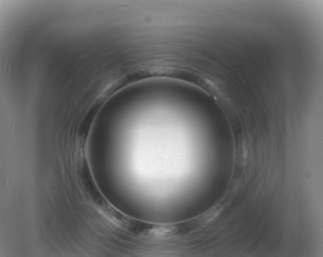 X0000081340172200701182030