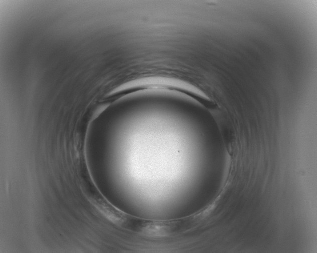 X0000081340174200701182030