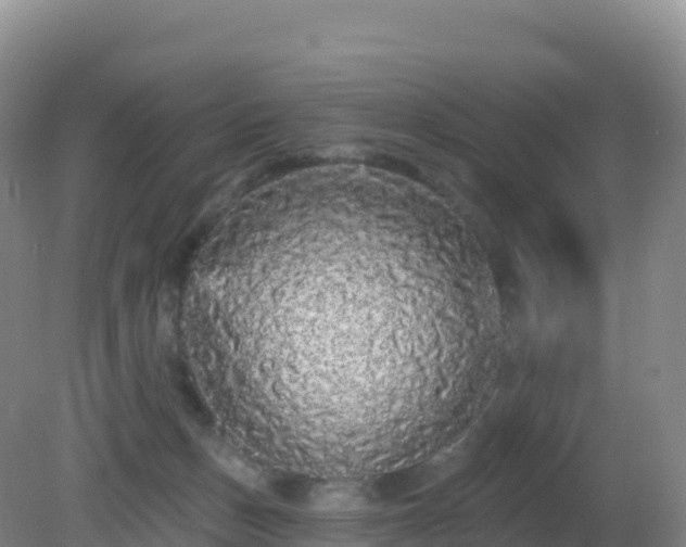 X0000081340175200701182030