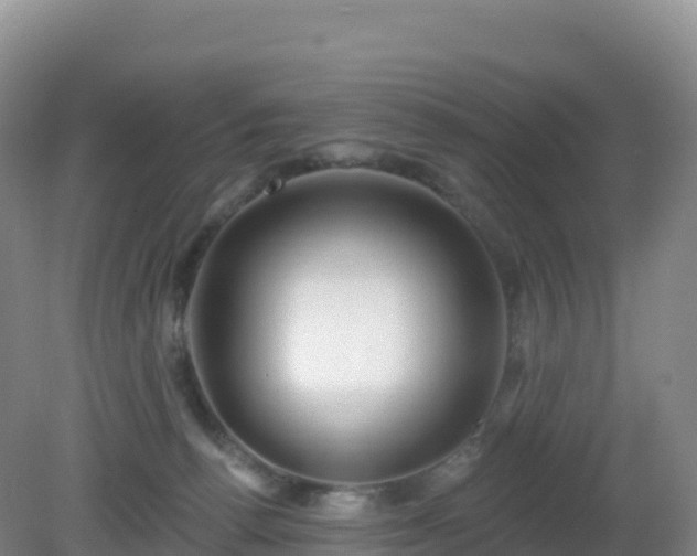 X0000081340176200701182030