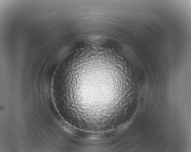 X0000081340178200701182030