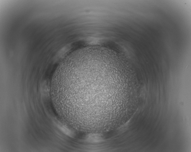 X0000081340179200701182030