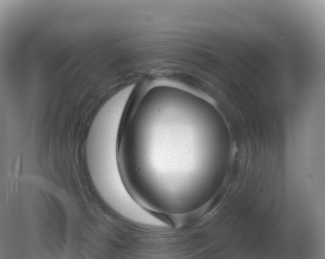 X0000081340180200701182030