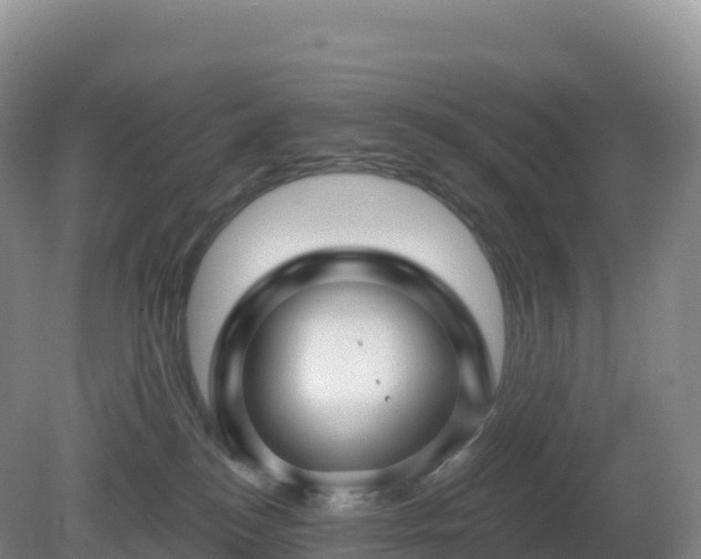 X0000081340184200701182030