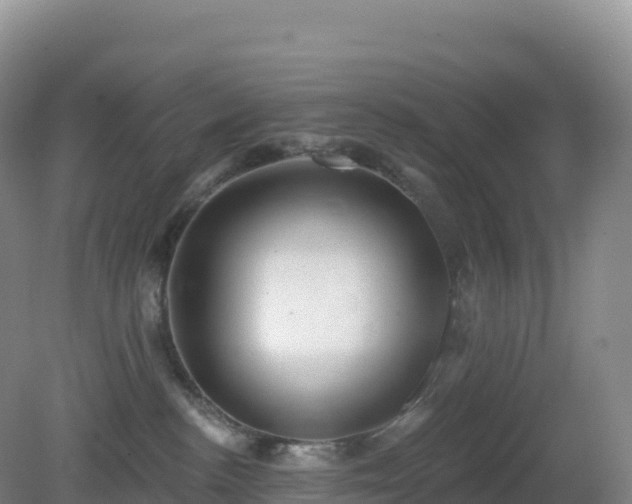 X0000081340188200701182030