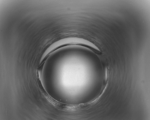 X0000081340190200701182030