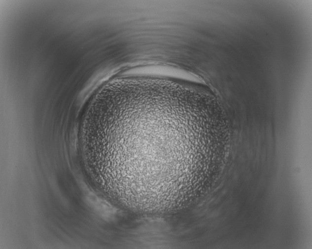 X0000081340194200701182029