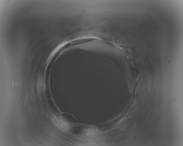 X0000081340200200701182029