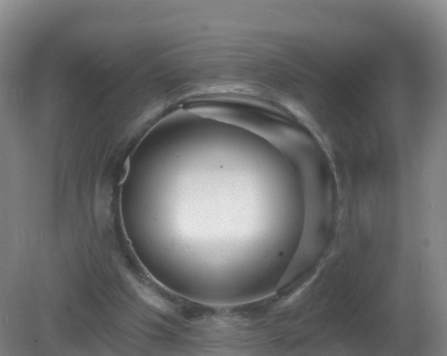 X0000081340201200701182029