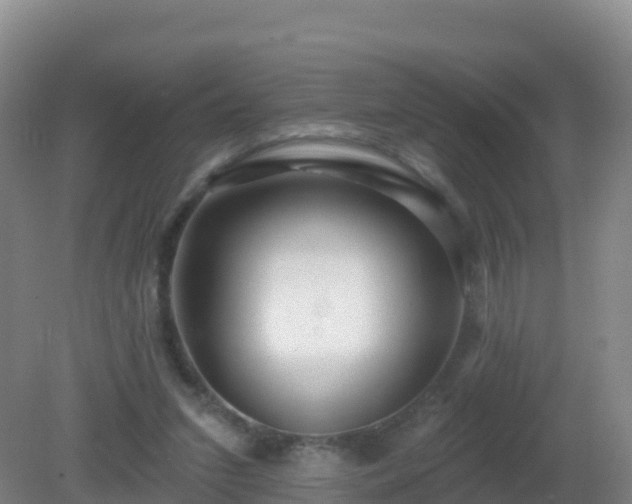 X0000081340207200701182029