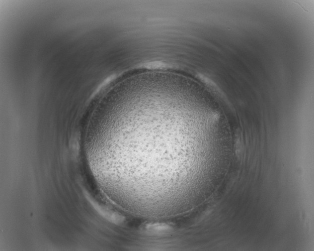 X0000081340208200701182029