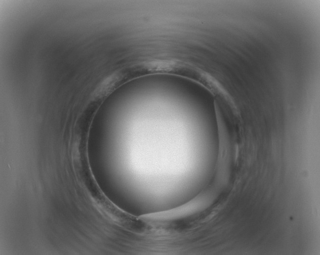 X0000081340209200701182029
