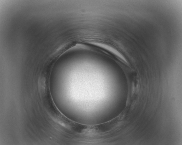 X0000081340211200701182029