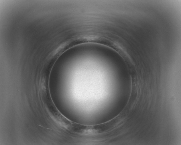 X0000081340212200701182029