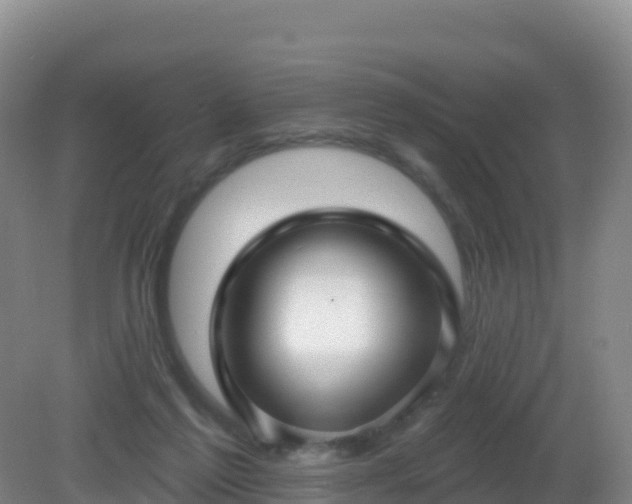 X0000081340213200701182029