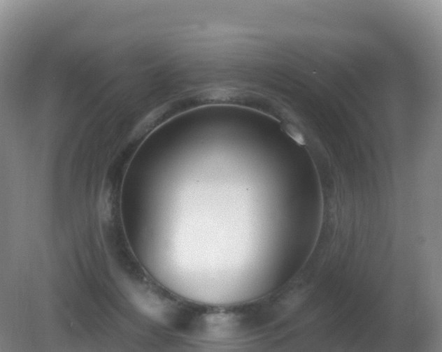 X0000081340216200701182029