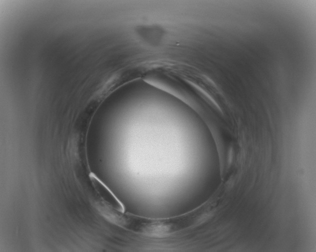 X0000081340217200701182029