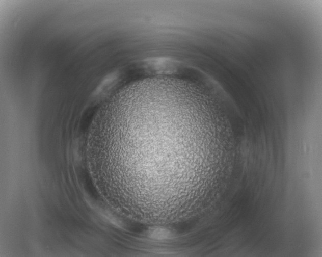 X0000081340218200701182029