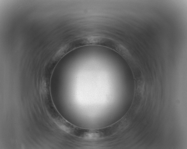 X0000081340220200701182029