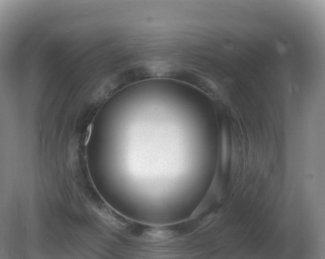 X0000081340221200701182029