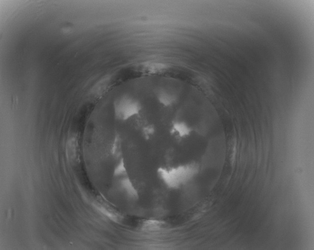 X0000081340222200701182029