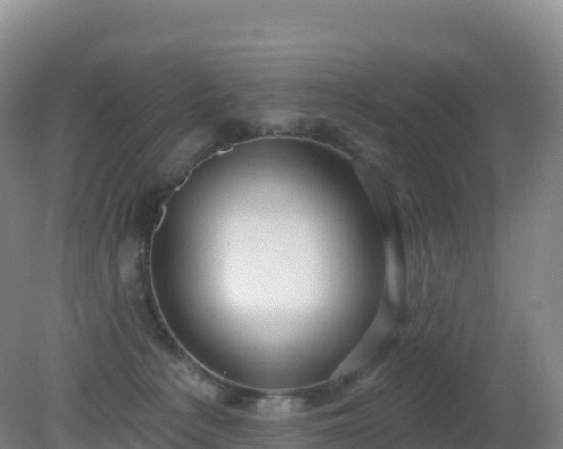 X0000081340225200701182029