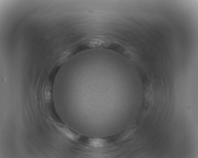 X0000081340226200701182029