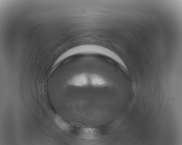 X0000081340233200701182029