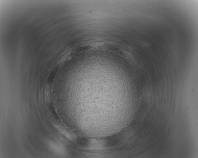 X0000081340234200701182029