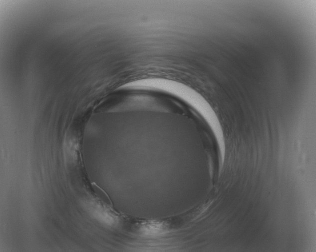X0000081340235200701182029