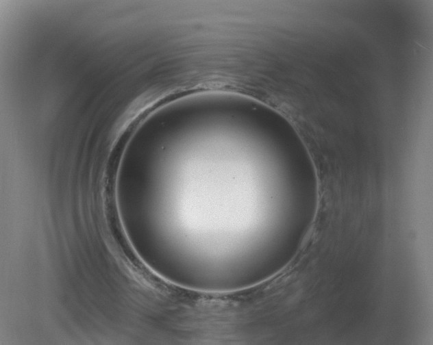 X0000081340242200701182028