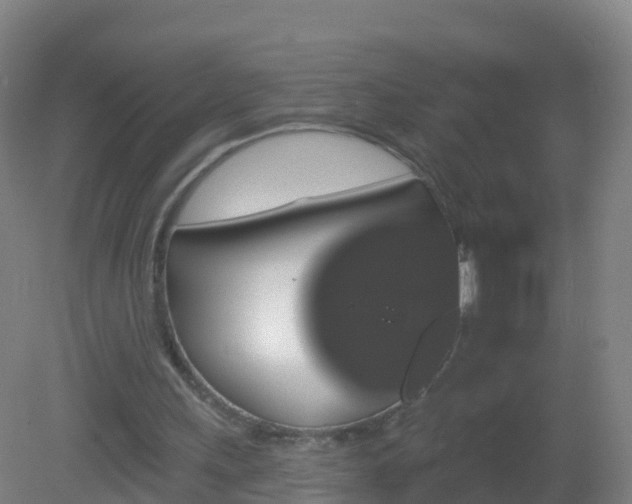 X0000081340243200701182028