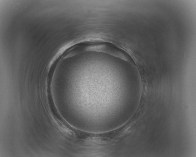 X0000081340244200701182028