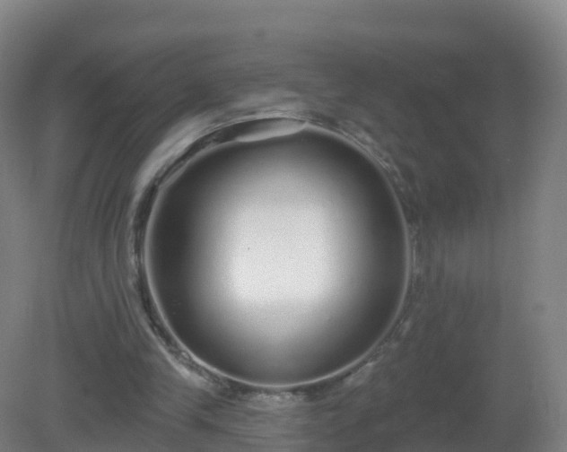 X0000081340245200701182028