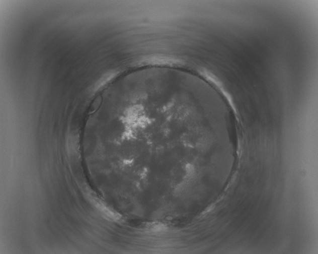 X0000081340249200701182028