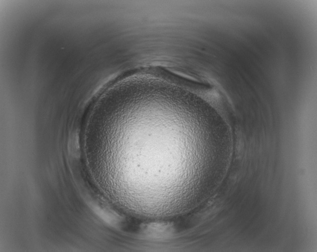 X0000081340251200701182028