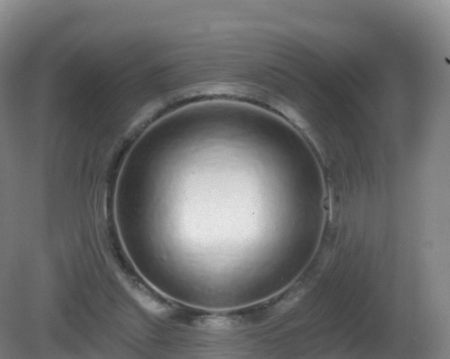 X0000081340253200701182028