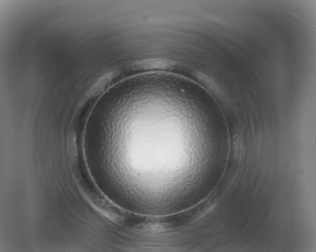X0000081340254200701182028