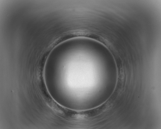 X0000081340255200701182028