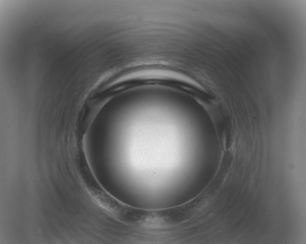 X0000081340256200701182028