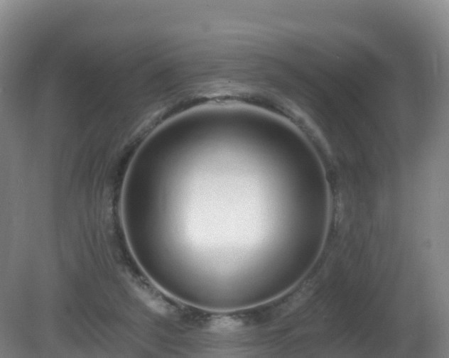 X0000081340257200701182028