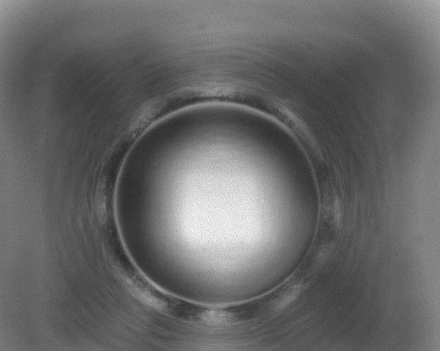 X0000081340261200701182028
