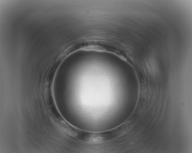X0000081340263200701182028