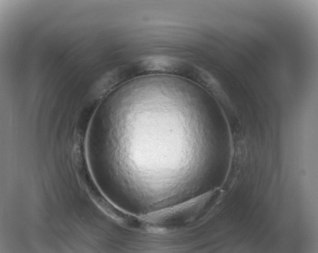 X0000081340265200701182028