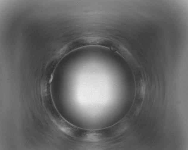 X0000081340268200701182028