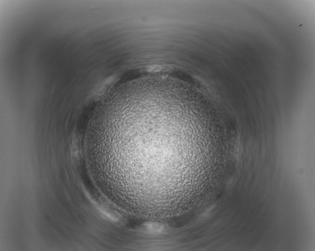 X0000081340272200701182028
