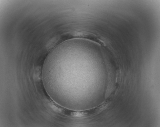 X0000081340273200701182028
